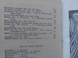 Nuori Suomi Päivälehden Joulualbumi IX 1899