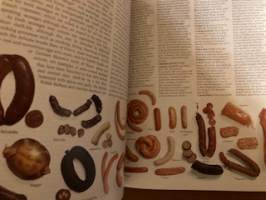 Complete Guide to Cookery