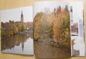 Aurajoen sillat ja förit