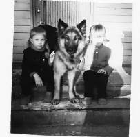 Rajakoira Sumu ja kaverit 1960 luku valokuva 6x6 cm