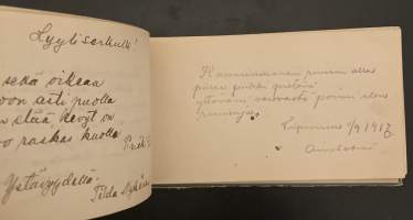 Muistokirja vuosilta 1916-1918