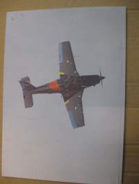 Fokker DXXI - Suomen sinessä