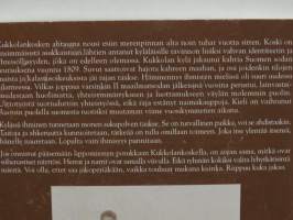 Pää vai pyrstö - Kukkolan kylä kosken äärellä