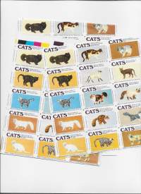 Cats Series erä arkkeja