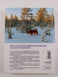 Suomen suosituimmat koirarodut