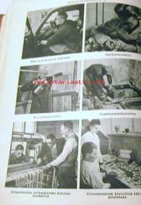 Pieni tietosanakirja II