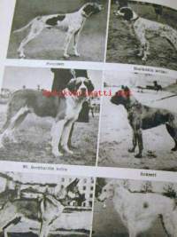 Pieni tietosanakirja II
