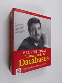 Professional Visual Basic 6 databases