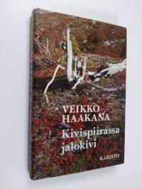 Kivispiirassa jalokivi