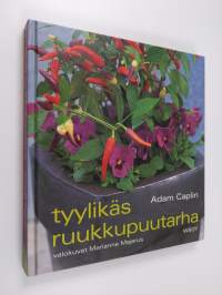 Tyylikäs ruukkupuutarha