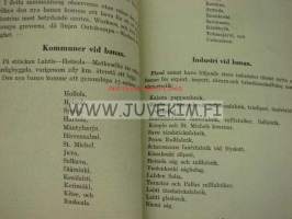 Järnvägar i St. Michels län 1925 -painate