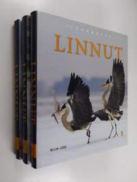 Linnut : luonnossa 1-3