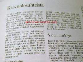 Kodin huonekasvit