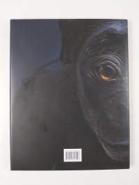 Echo