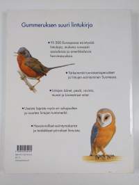 Gummeruksen suuri lintukirja