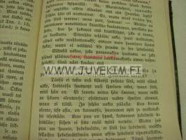 Kasteen sakramentti Lutherin Wähän Katekismuksen 4:nnen pääkappaleen Selitys