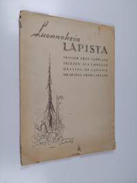 Luonnoksia Lapista (tekijän omiste, signeerattu)