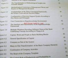 Hyperknowledge and Continuous Strategy in Executive Support Systems