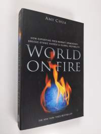 World on fire : how exporting free market democracy breeds ethnic hatred and global instability