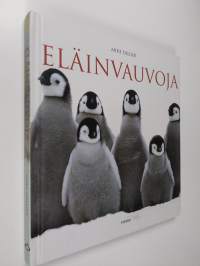 Eläinvauvoja