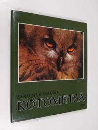 Kotometsä