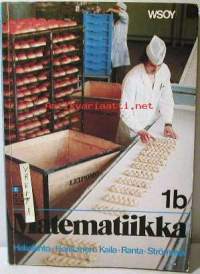 Matematiikka   ib