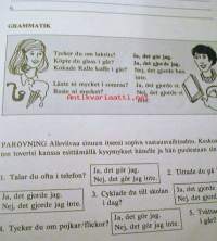 Satsa på svenska  8
