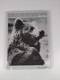 Karhunkaataja Ikä-Alpi : reportaasi