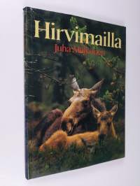 Hirvimailla