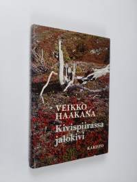 Kivispiirassa jalokivi