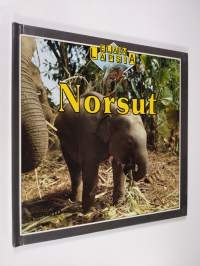 Norsut