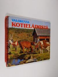 Valokuvia kotieläimistä