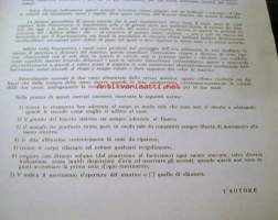 L&#039;oscillazione Ritmica Del Mantice