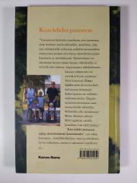 Kun lehdet putoavat, näkyy keittiöstämme kauemmaksi