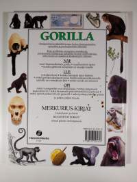 Gorilla