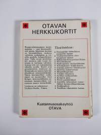 Pikkuruokia lihasta : Taskukokoisia ruokaohjeita herkkusuille