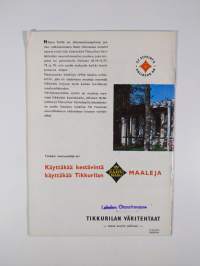 Tehokas ulkomaalaus