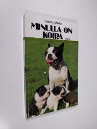 Minulla on koira