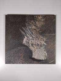 Laila Pullinen : arcus lucis = valon kaari = ljusbåge = arc of light