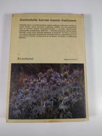 Yrttikirja