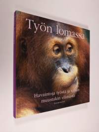 Työn lomassa : innostavia ajatuksia elämästä (ERINOMAINEN)