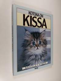 Kotona on kissa