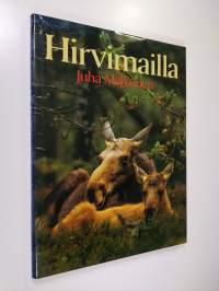 Hirvimailla (ERINOMAINEN)