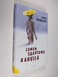 Lumen saartama kahvila (ERINOMAINEN)