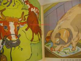 Litet bilderbok för de mista