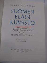 Suomen eläinkuvasto II Matelijat sammakkoeläimet kalat selkärangattomat