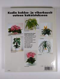 Ruukkukasvit