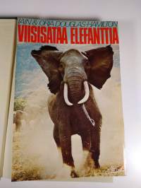 Viisisataa elefanttia