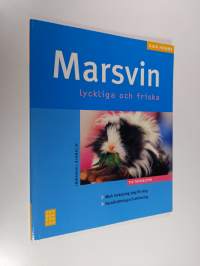 Marsvin : lycklig och frisk