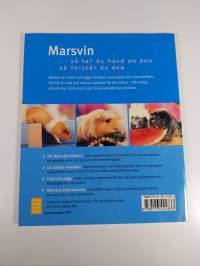 Marsvin : lycklig och frisk